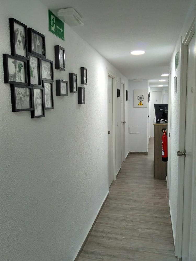 Guesthouse Central Alicante Exteriör bild